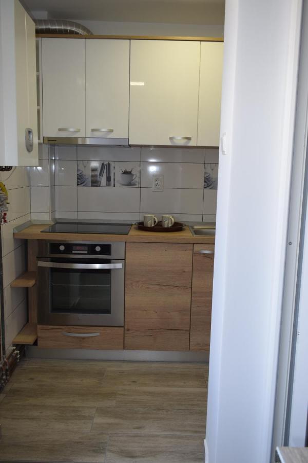 Apartament Palatul De Justitie Rhbm Baia Mare Exterior foto